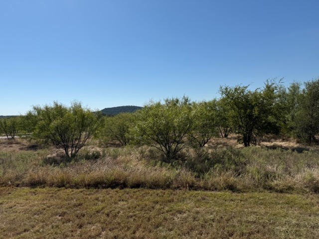 2045 Canyon Wren Loop Graford TX 76449