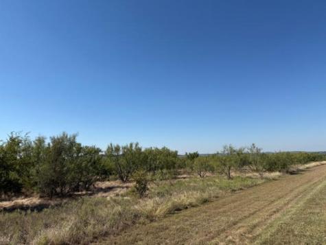 2045 Canyon Wren Loop Graford TX 76449