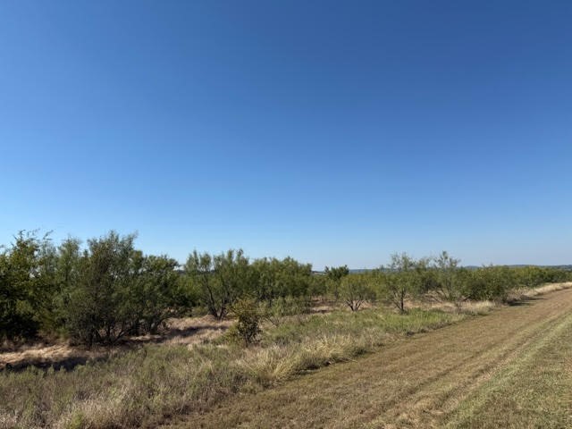 2045 Canyon Wren Loop Graford TX 76449