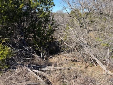2045 Canyon Wren Loop Graford TX 76449