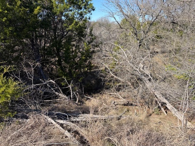 2045 Canyon Wren Loop Graford TX 76449
