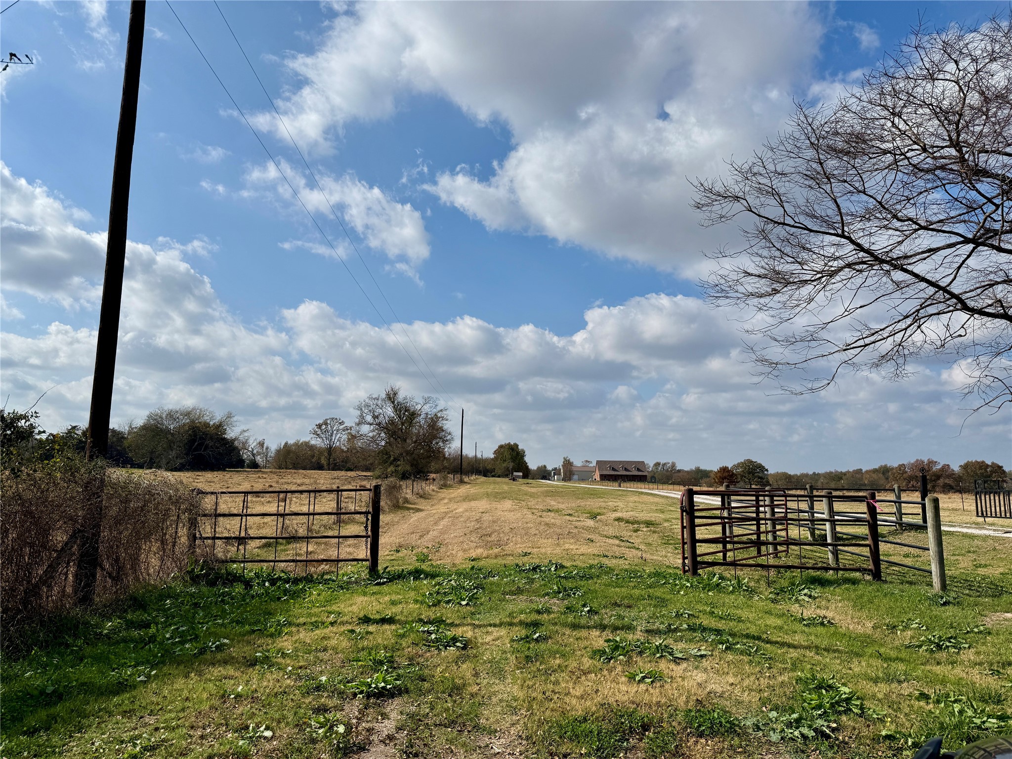14 Acres County Road 3359 Saltillo TX 75478