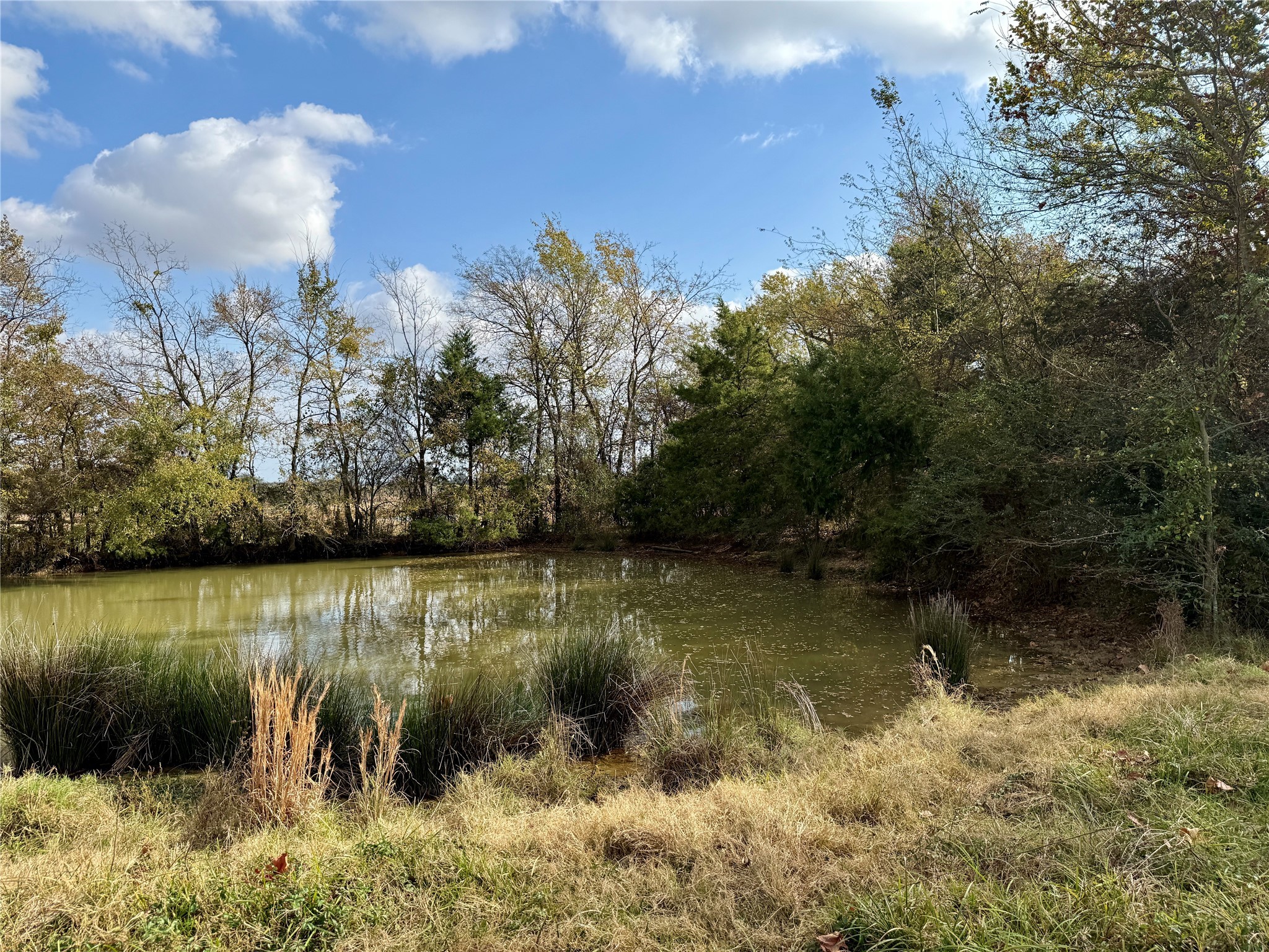 14 Acres County Road 3359 Saltillo TX 75478