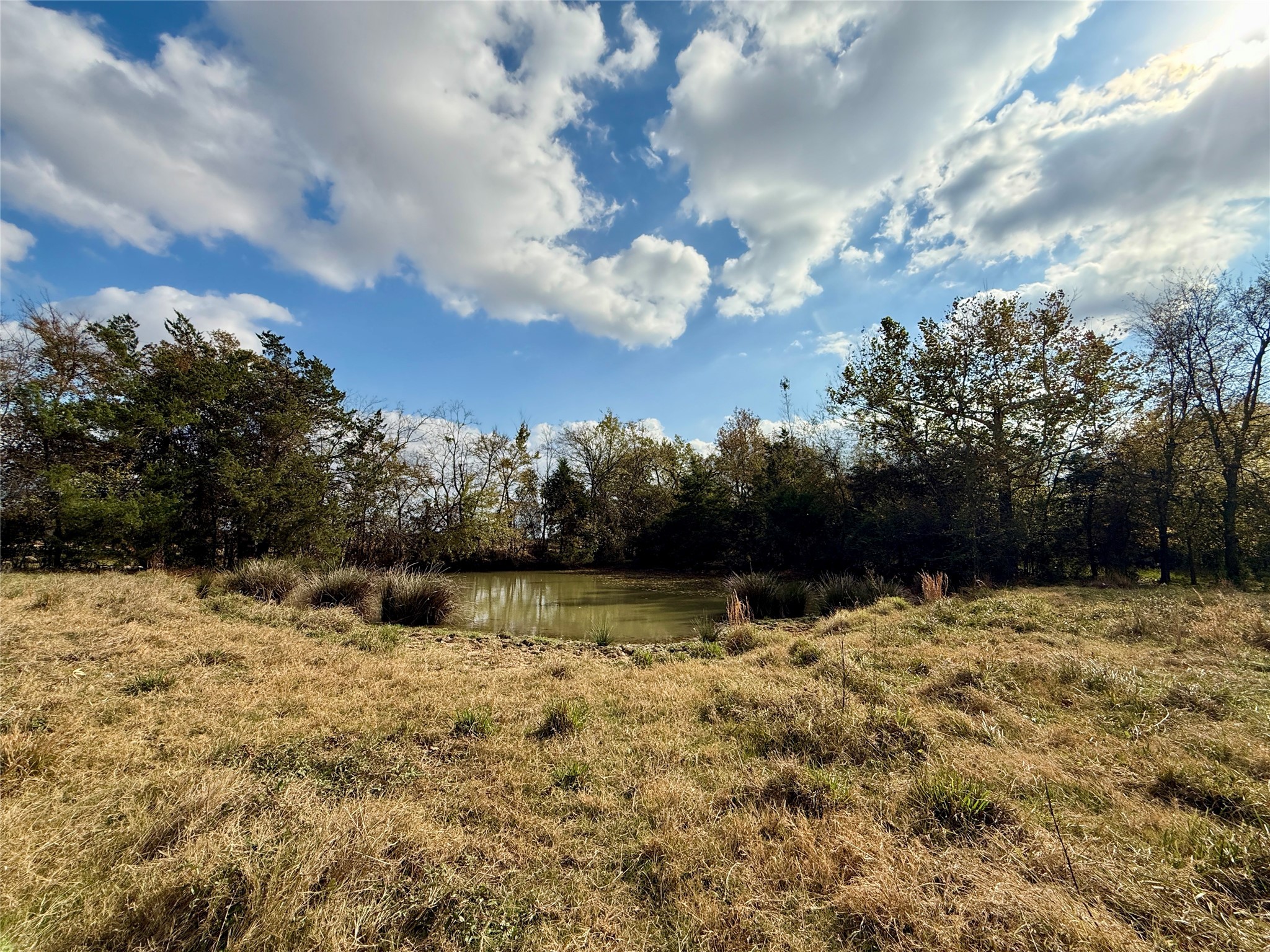 14 Acres County Road 3359 Saltillo TX 75478