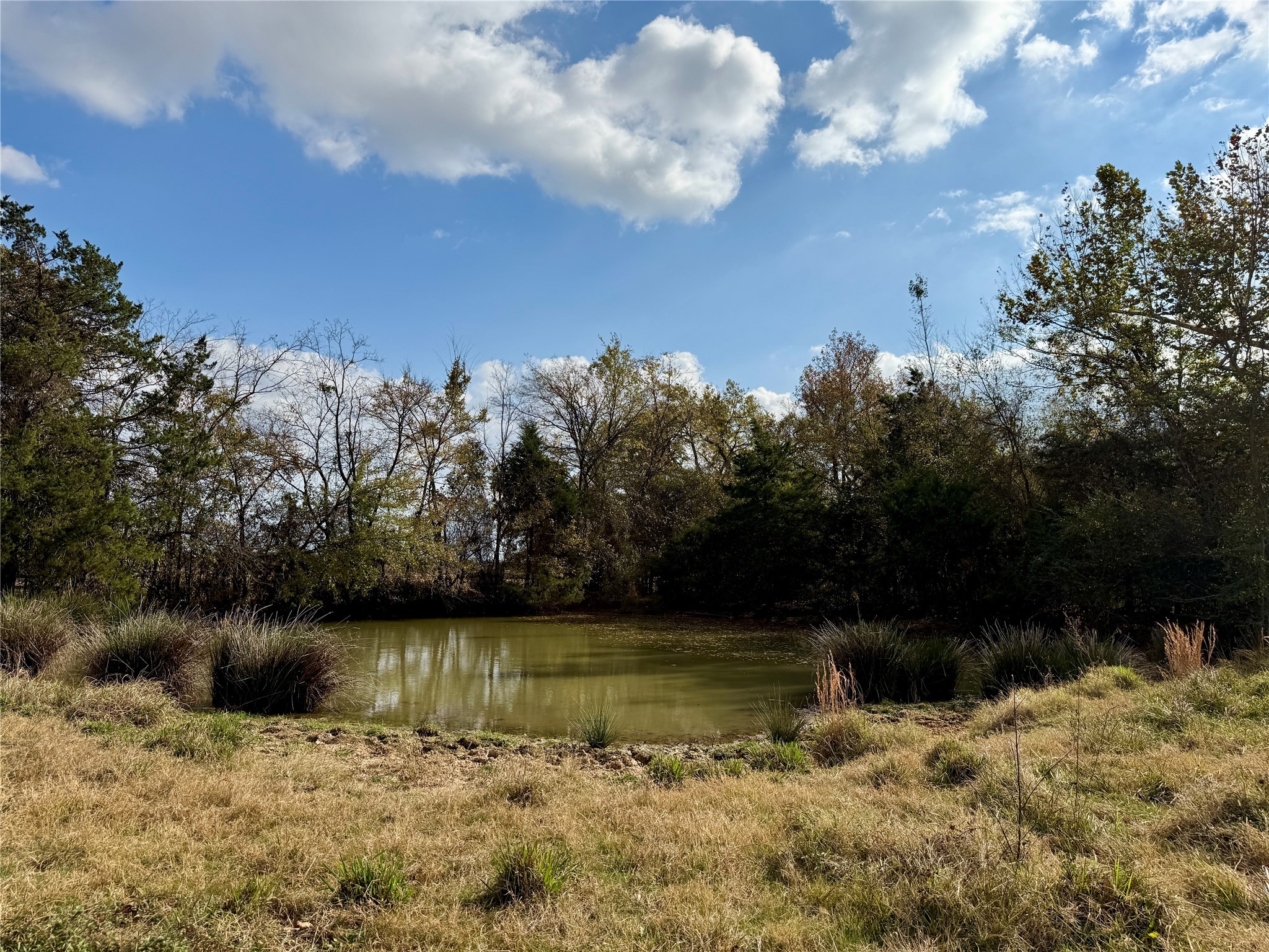 14 Acres County Road 3359 Saltillo TX 75478