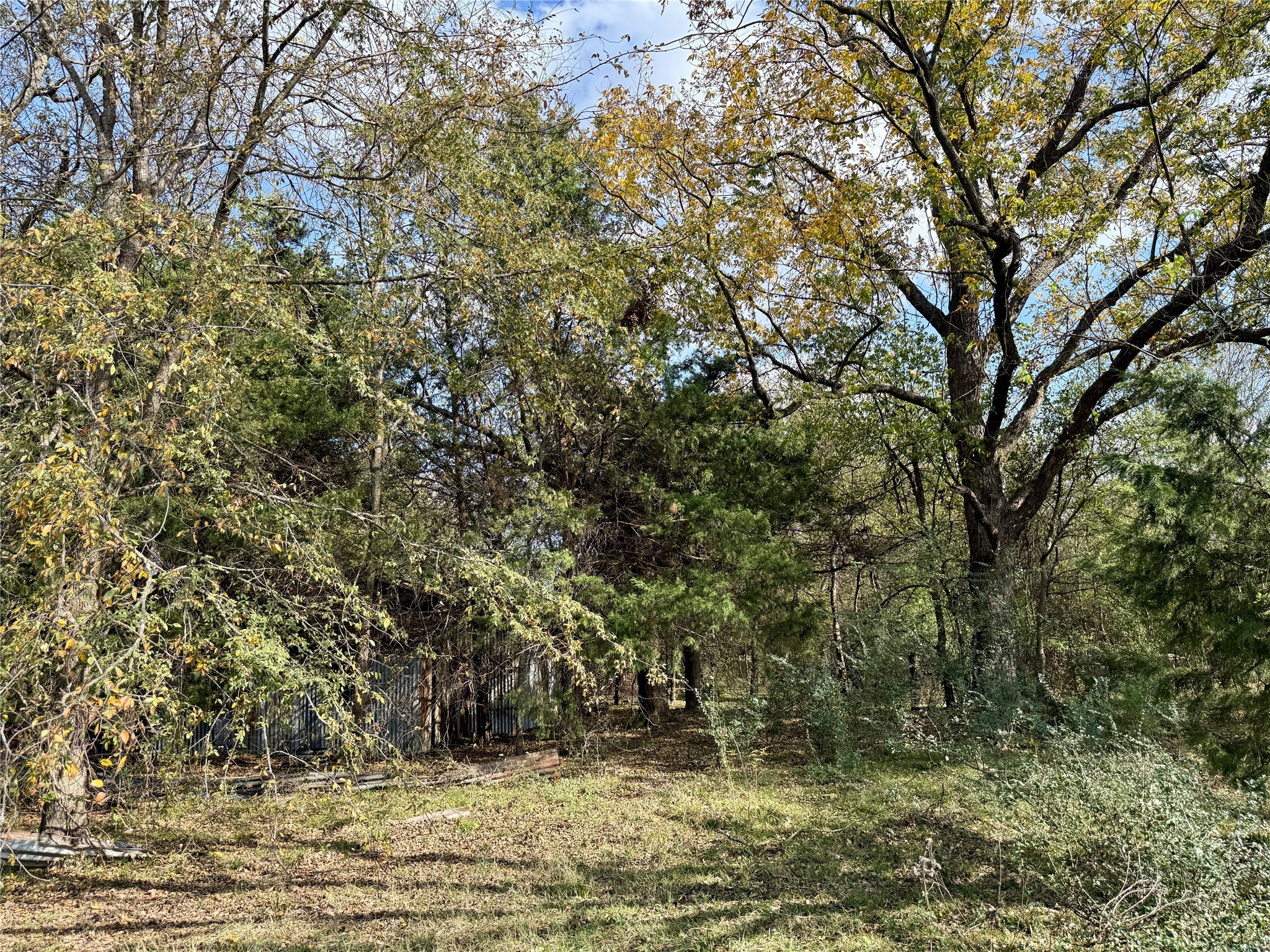 14 Acres County Road 3359 Saltillo TX 75478