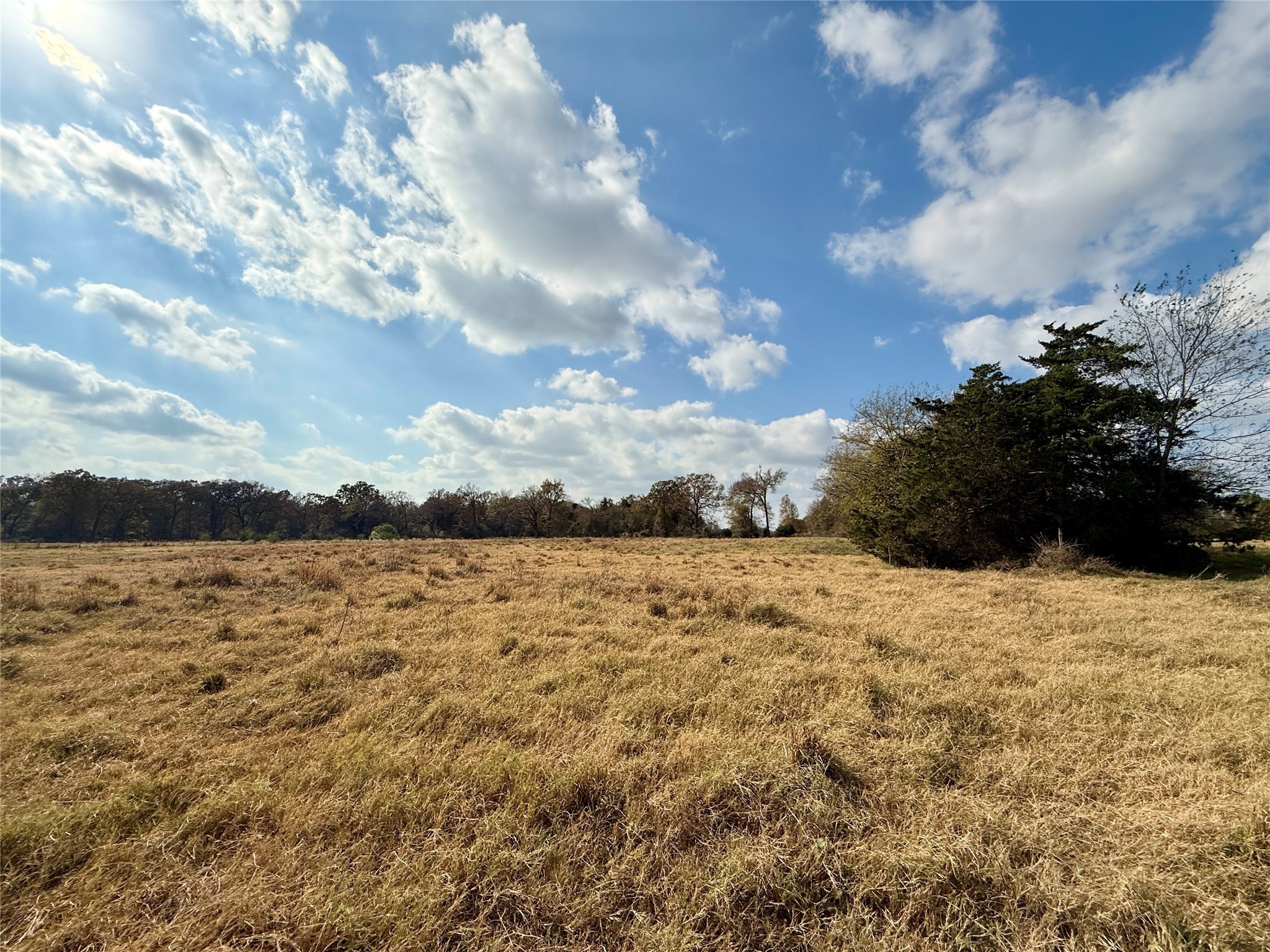 14 Acres County Road 3359 Saltillo TX 75478