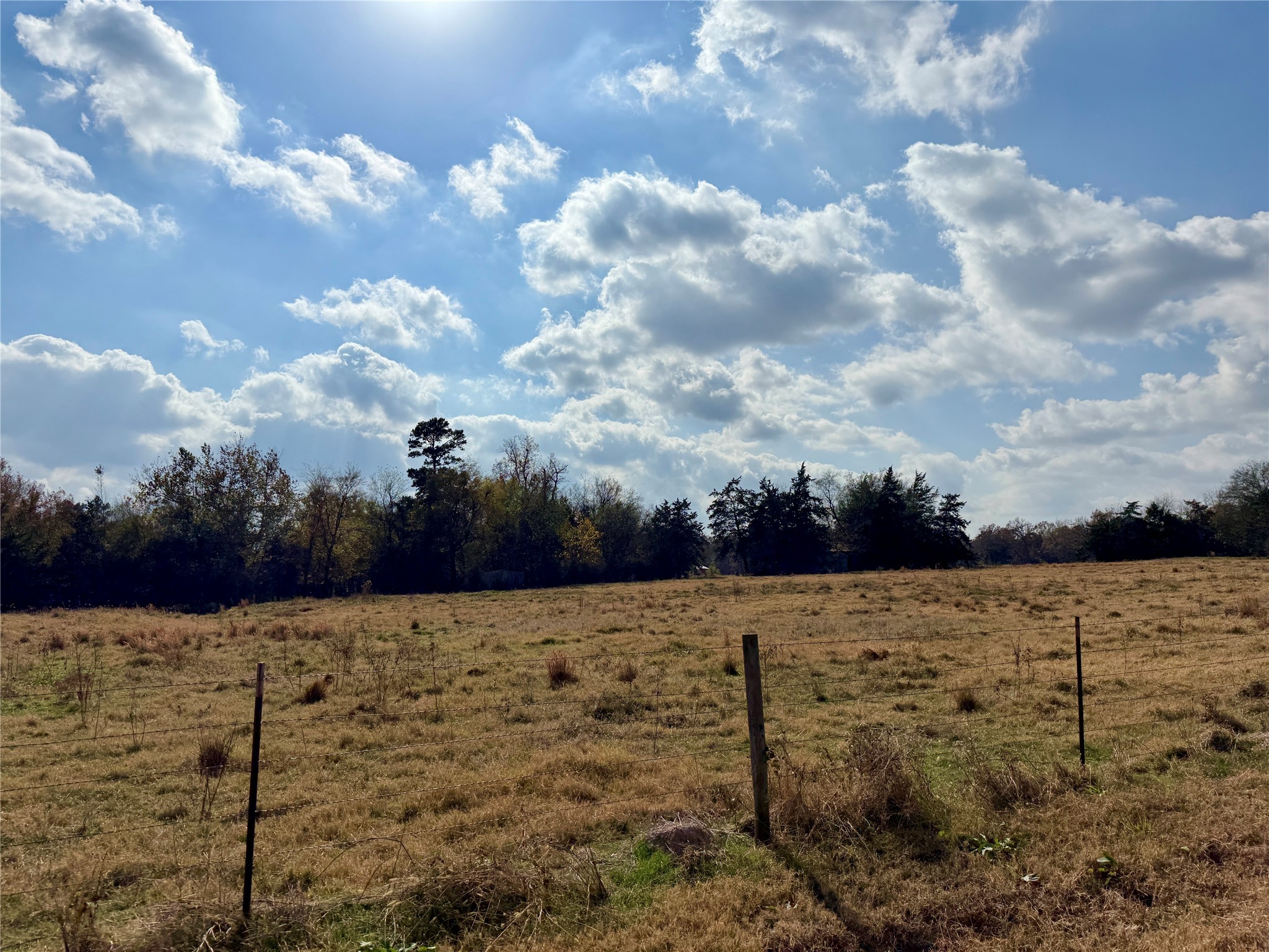 14 Acres County Road 3359 Saltillo TX 75478