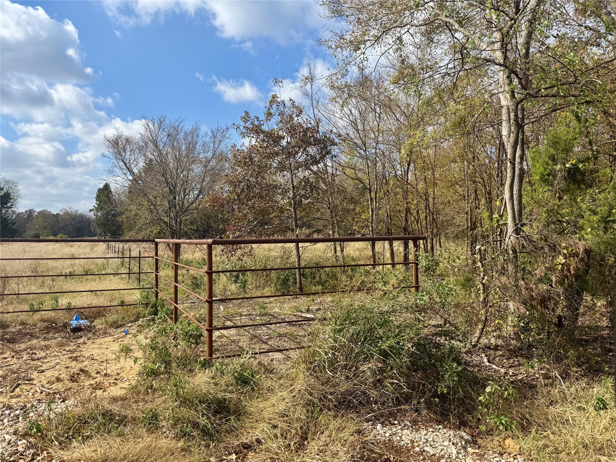 14 Acres County Road 3359 Saltillo TX 75478