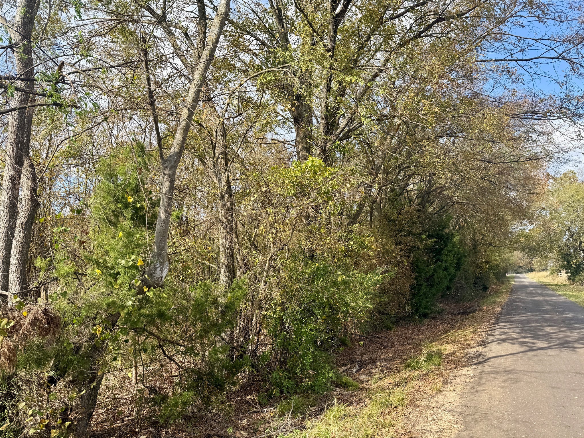 14 Acres County Road 3359 Saltillo TX 75478