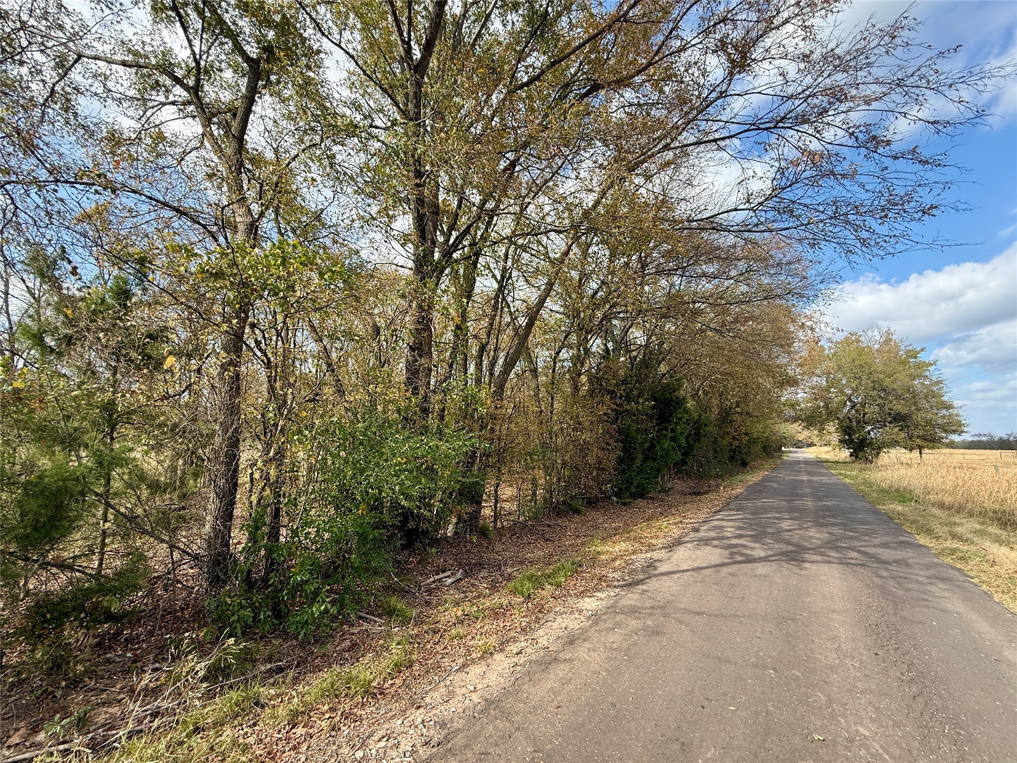 14 Acres County Road 3359 Saltillo TX 75478