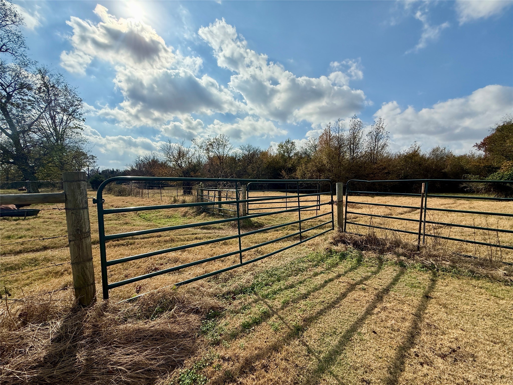14 Acres County Road 3359 Saltillo TX 75478