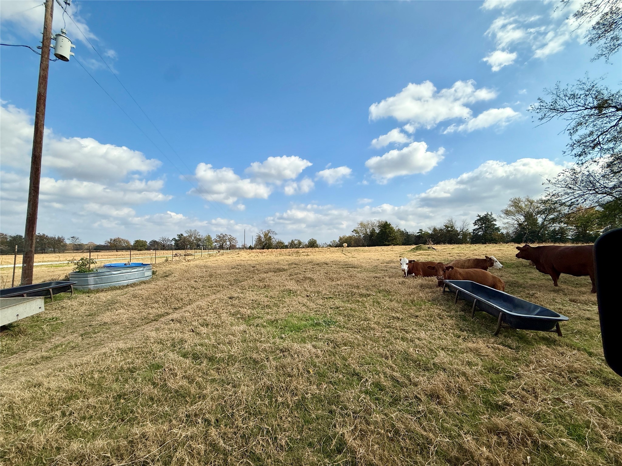 14 Acres County Road 3359 Saltillo TX 75478