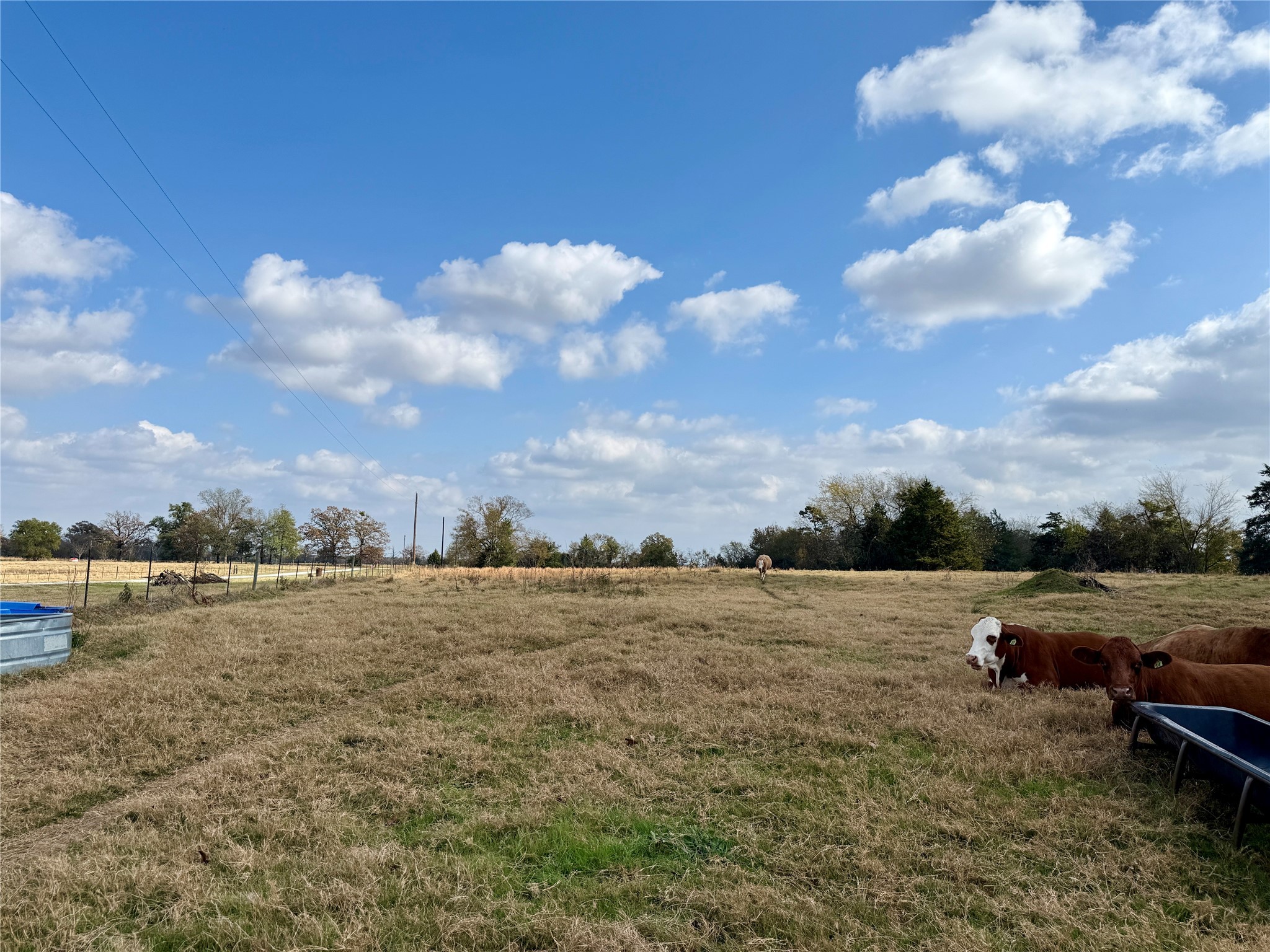14 Acres County Road 3359 Saltillo TX 75478