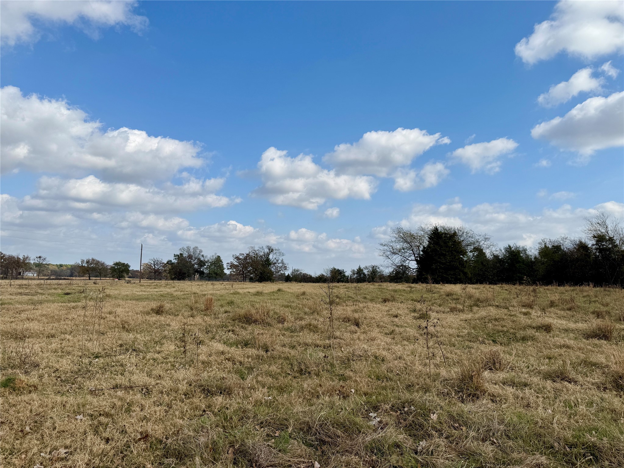 14 Acres County Road 3359 Saltillo TX 75478