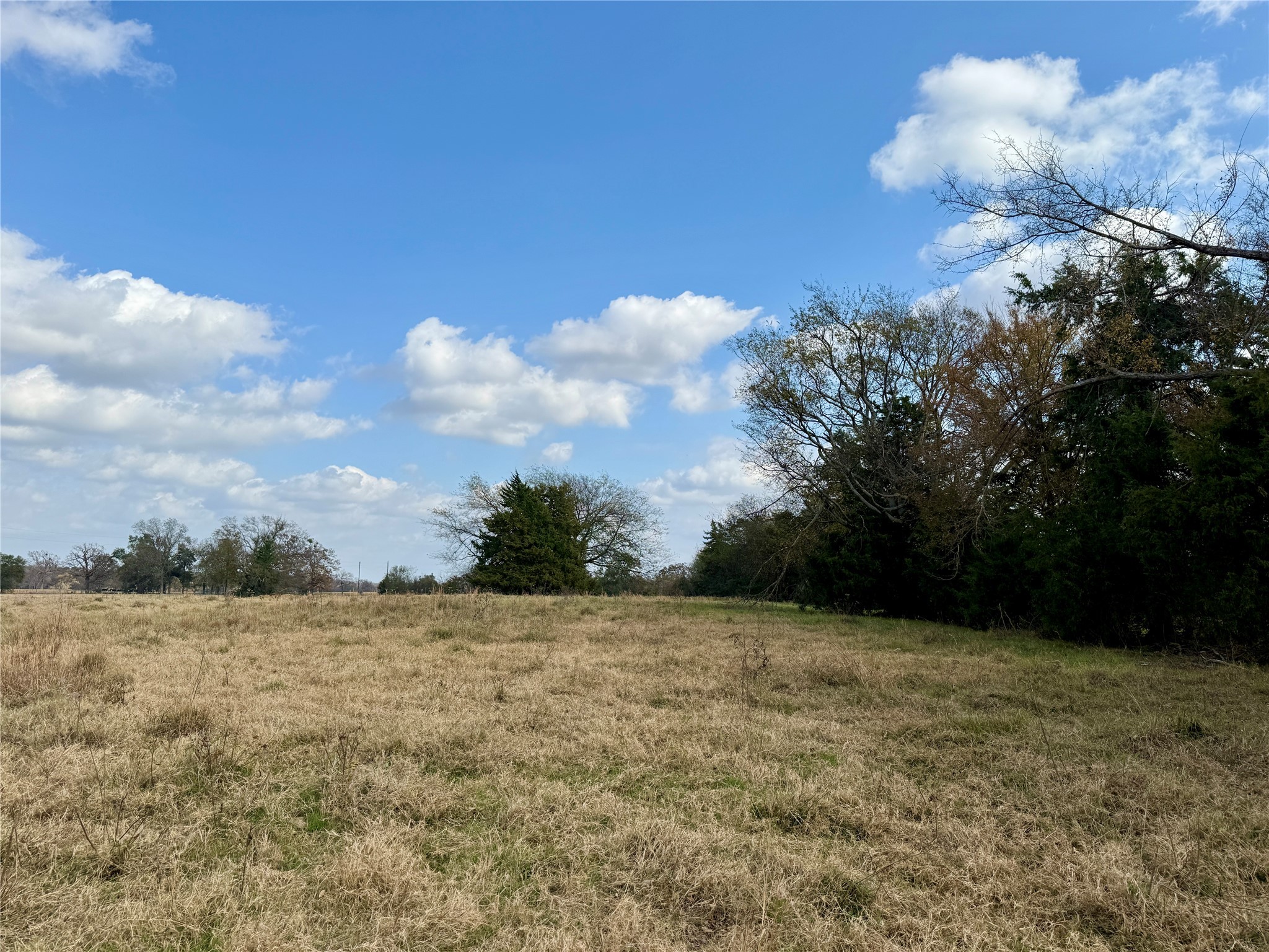 14 Acres County Road 3359 Saltillo TX 75478