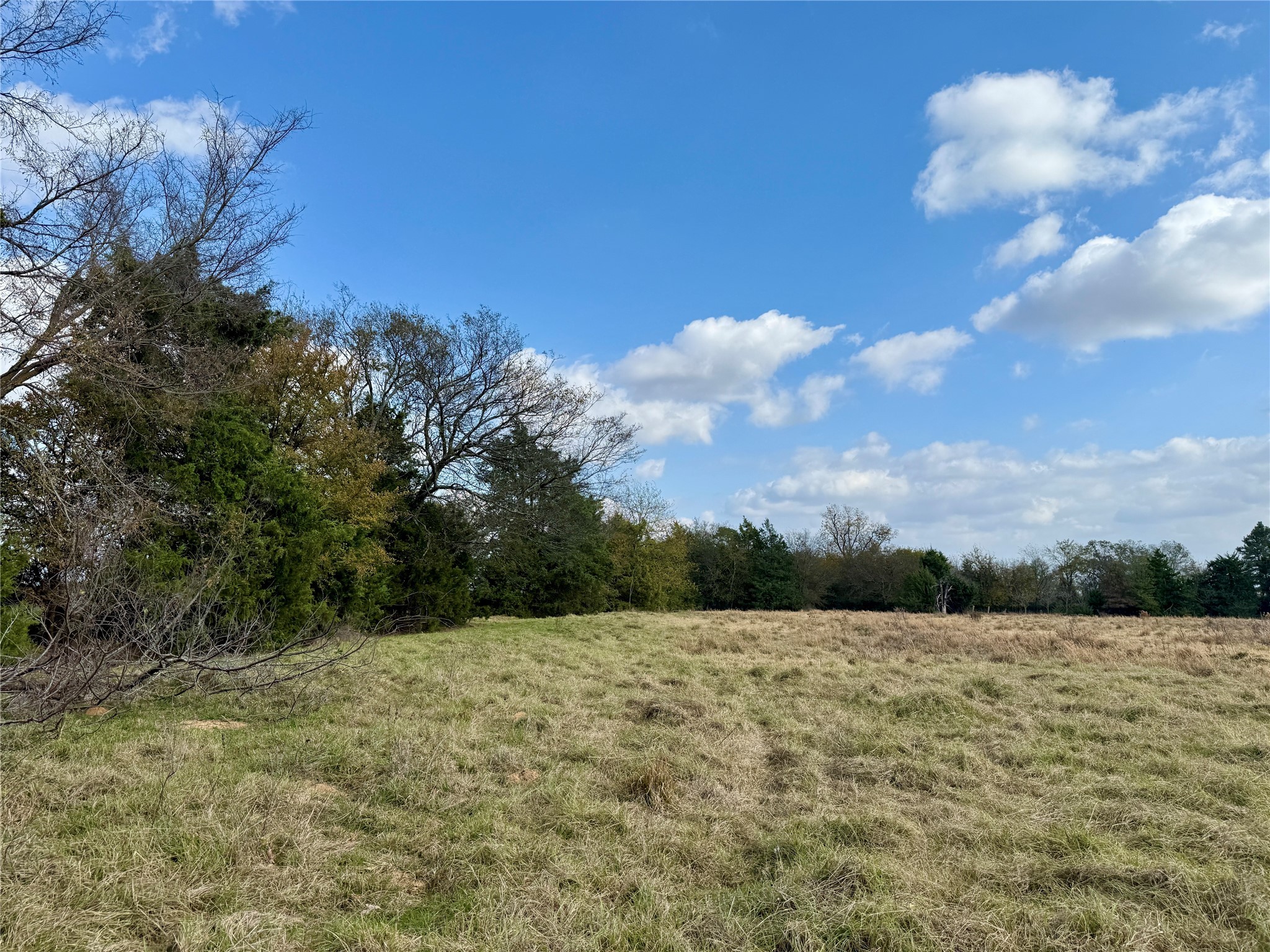 14 Acres County Road 3359 Saltillo TX 75478