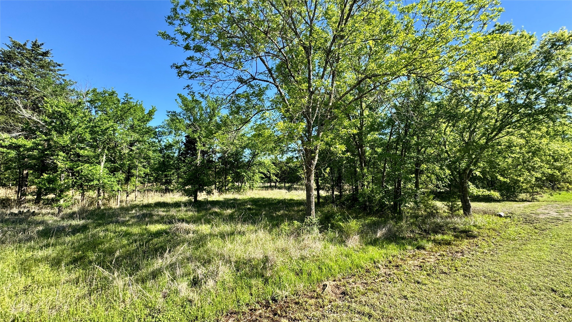11656 Fm 751 Wills Point TX 75169