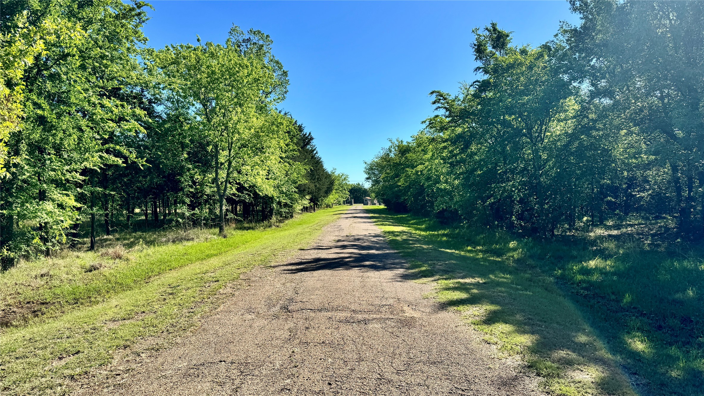 11656 Fm 751 Wills Point TX 75169
