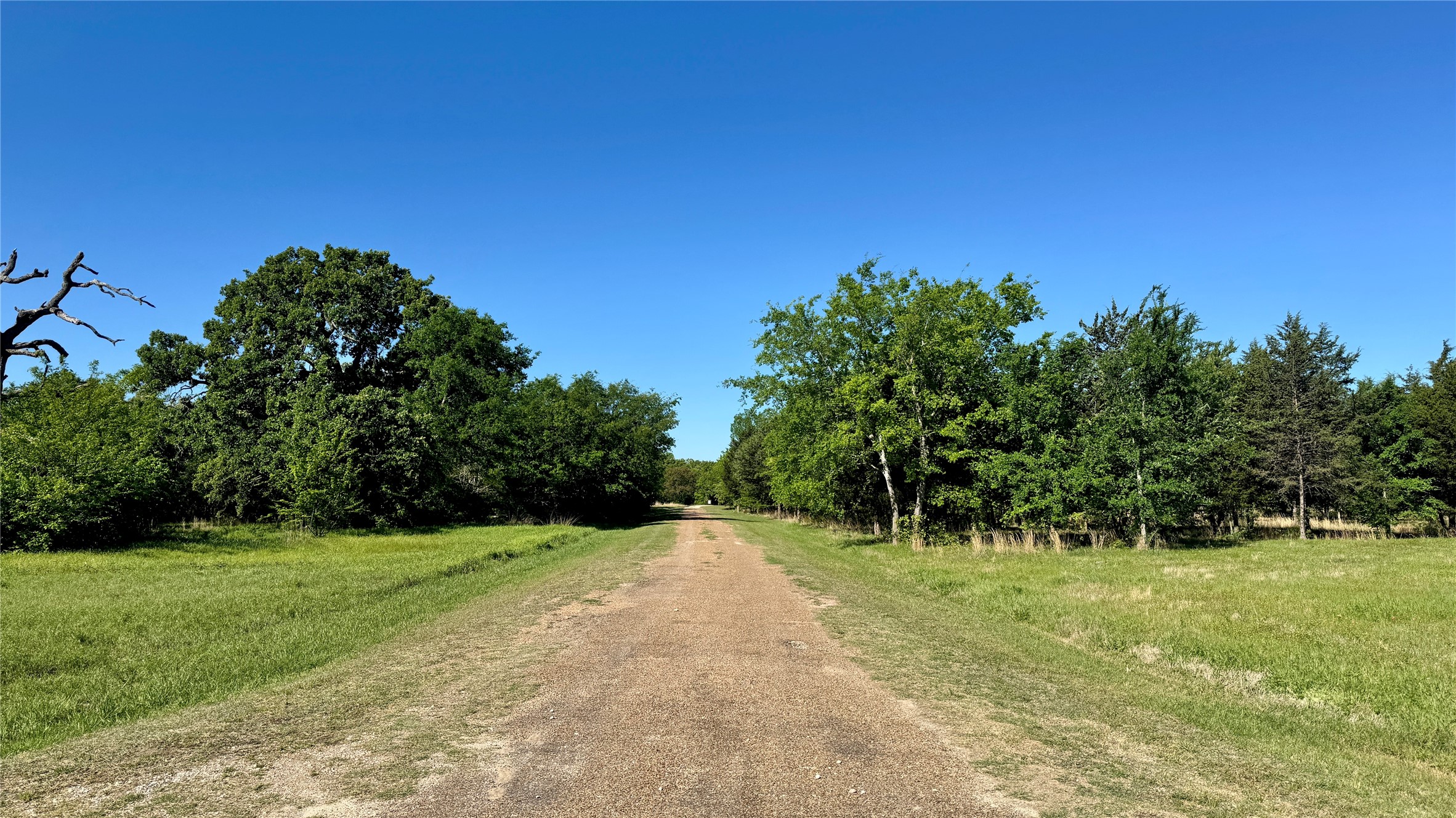11656 Fm 751 Wills Point TX 75169