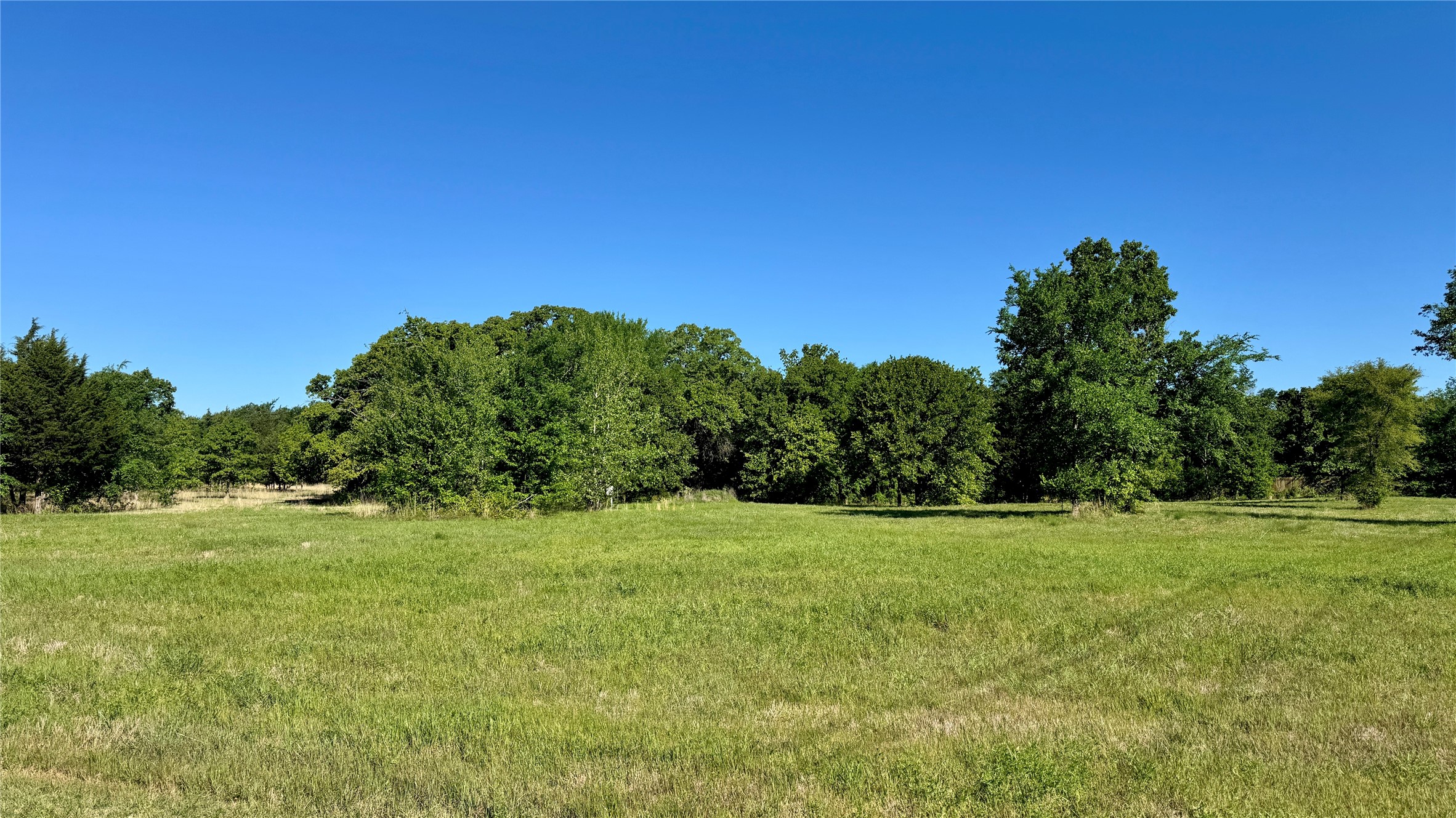 11656 Fm 751 Wills Point TX 75169