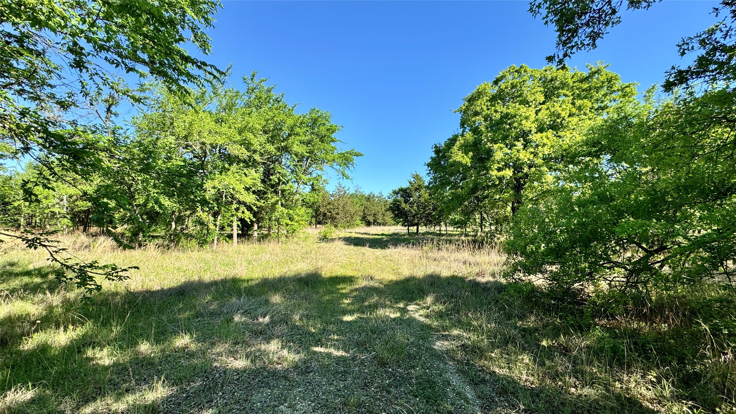 11656 Fm 751 Wills Point TX 75169