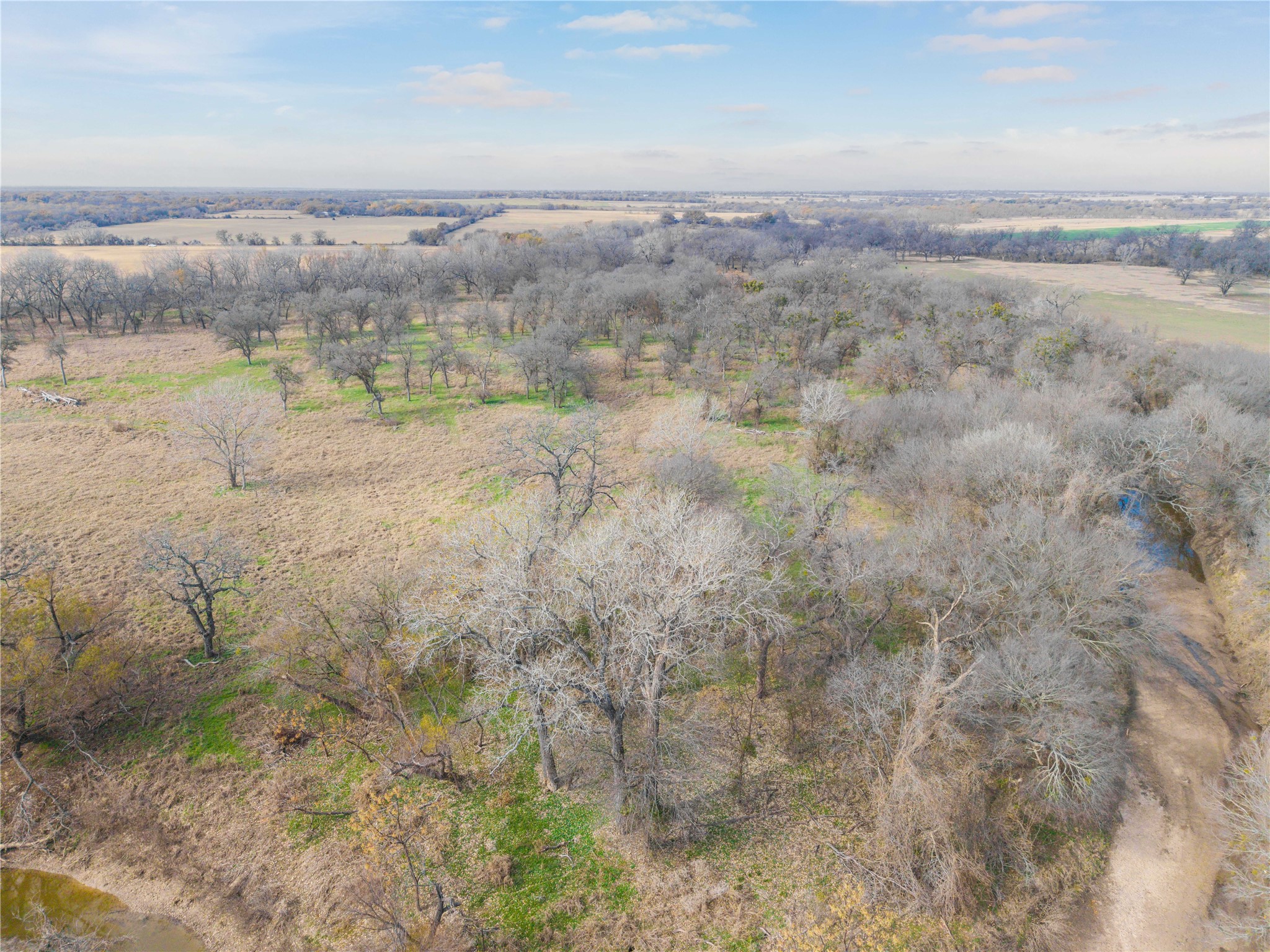60.27 Acres - Leon River County Road 446 De Leon TX 76444
