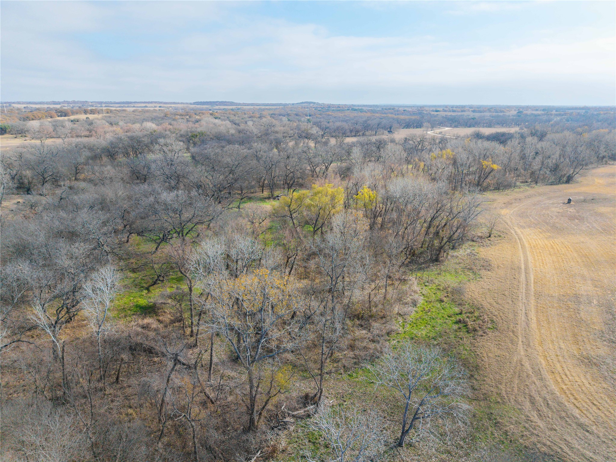 60.27 Acres - Leon River County Road 446 De Leon TX 76444