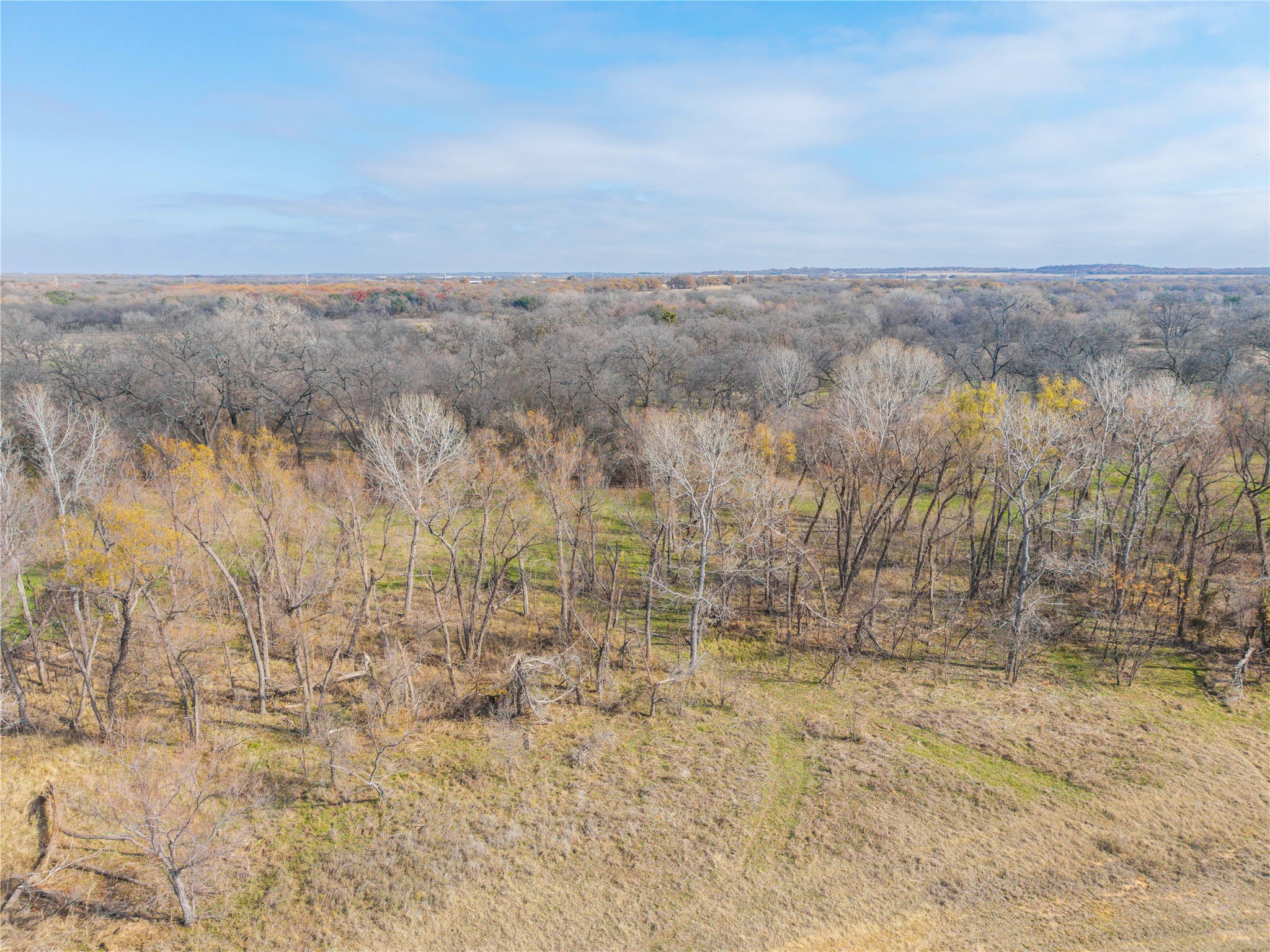 60.27 Acres - Leon River County Road 446 De Leon TX 76444