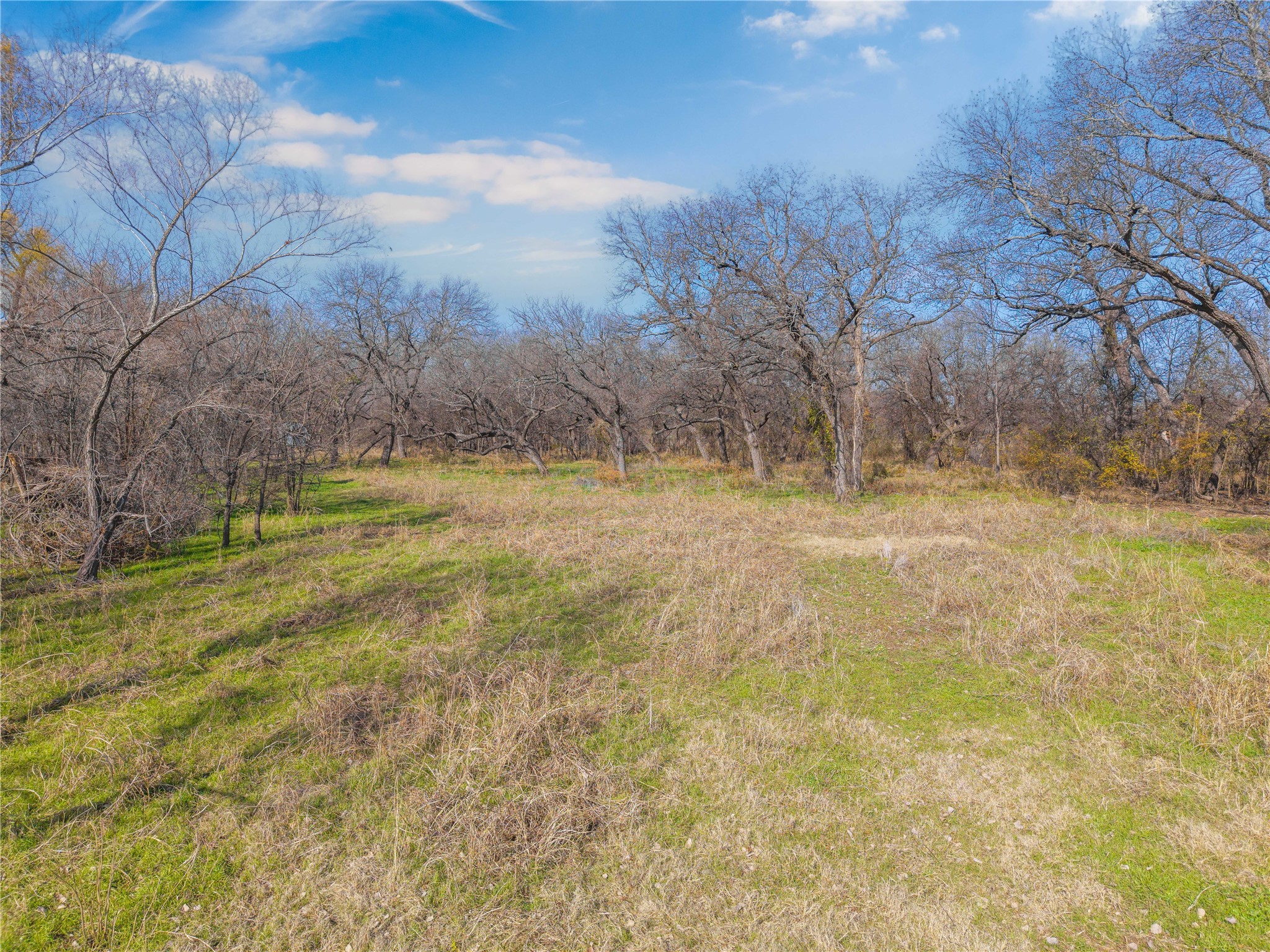 60.27 Acres - Leon River County Road 446 De Leon TX 76444
