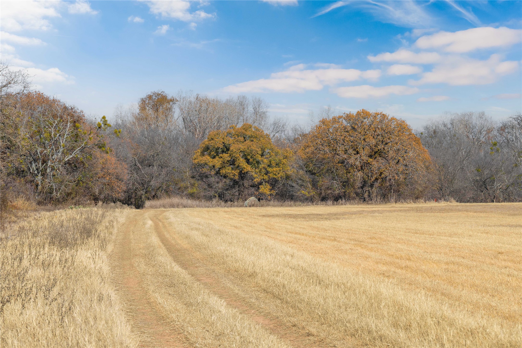 60.27 Acres - Leon River County Road 446 De Leon TX 76444