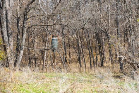60.27 Acres - Leon River County Road 446 De Leon TX 76444