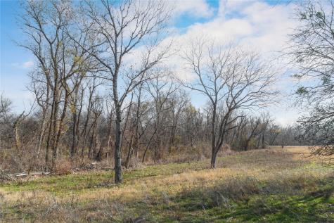 60.27 Acres - Leon River County Road 446 De Leon TX 76444