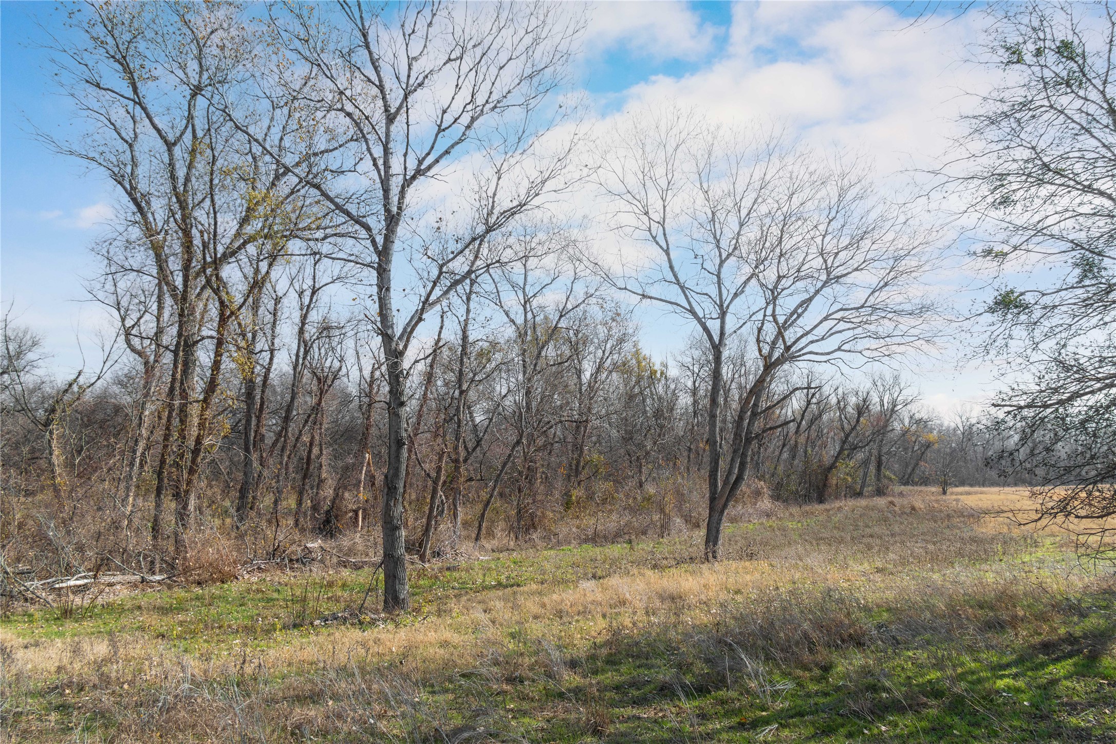 60.27 Acres - Leon River County Road 446 De Leon TX 76444
