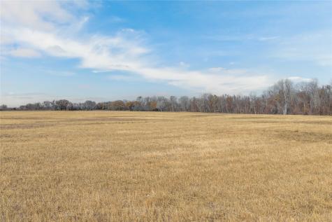 60.27 Acres - Leon River County Road 446 De Leon TX 76444