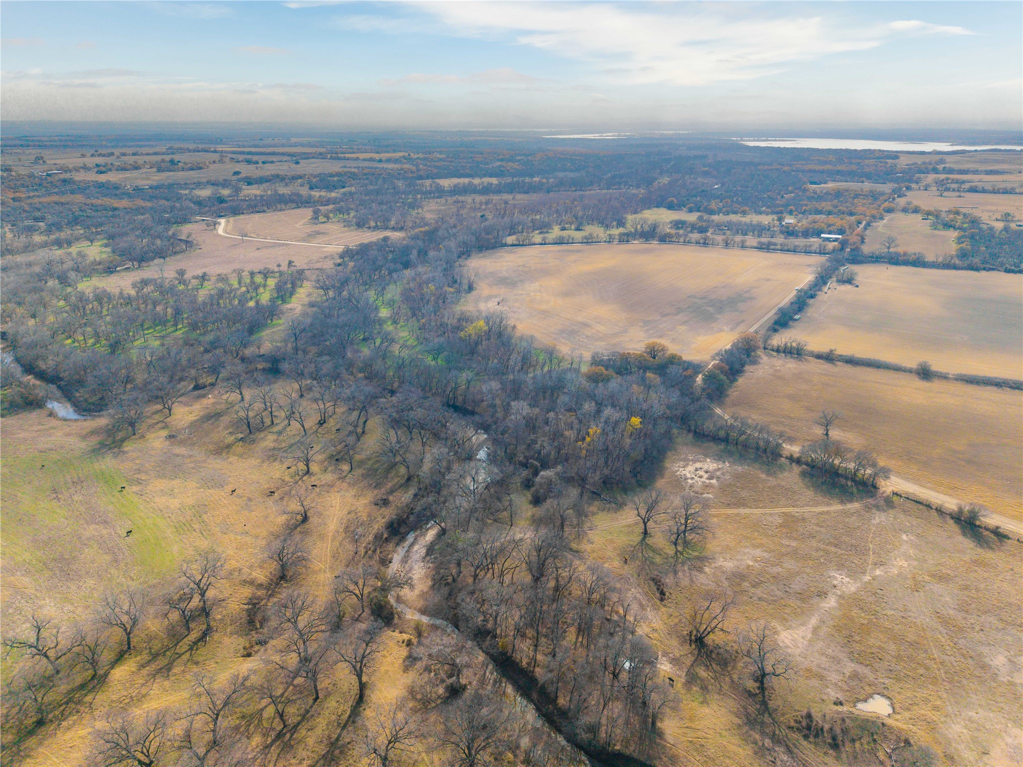 60.27 Acres - Leon River County Road 446 De Leon TX 76444