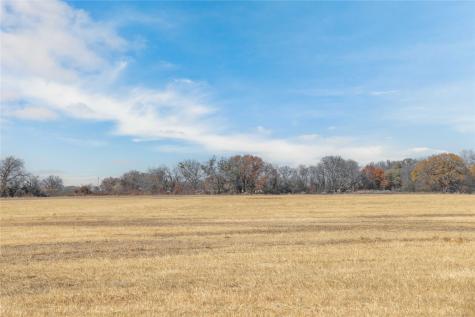 60.27 Acres - Leon River County Road 446 De Leon TX 76444