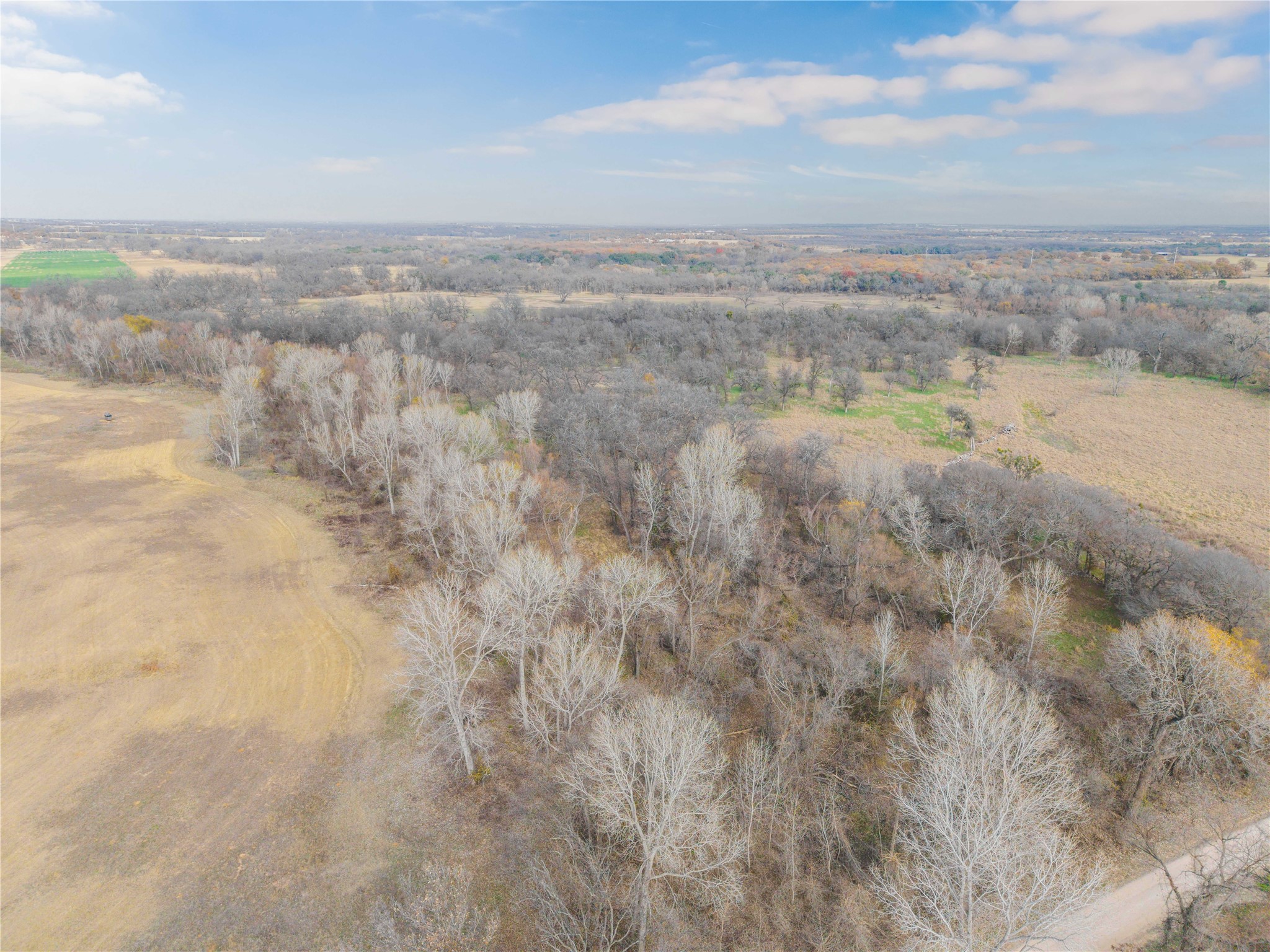 60.27 Acres - Leon River County Road 446 De Leon TX 76444