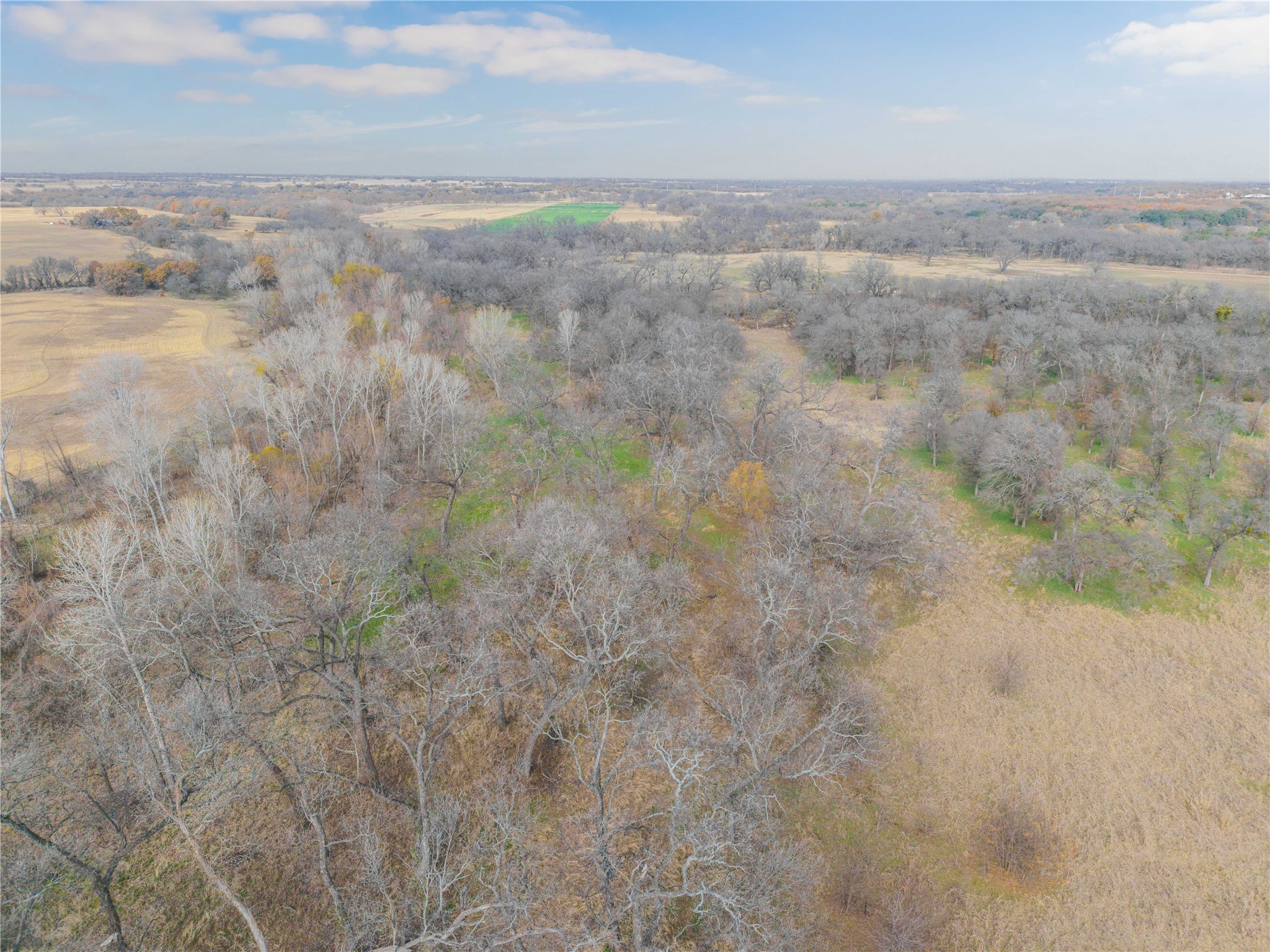 60.27 Acres - Leon River County Road 446 De Leon TX 76444