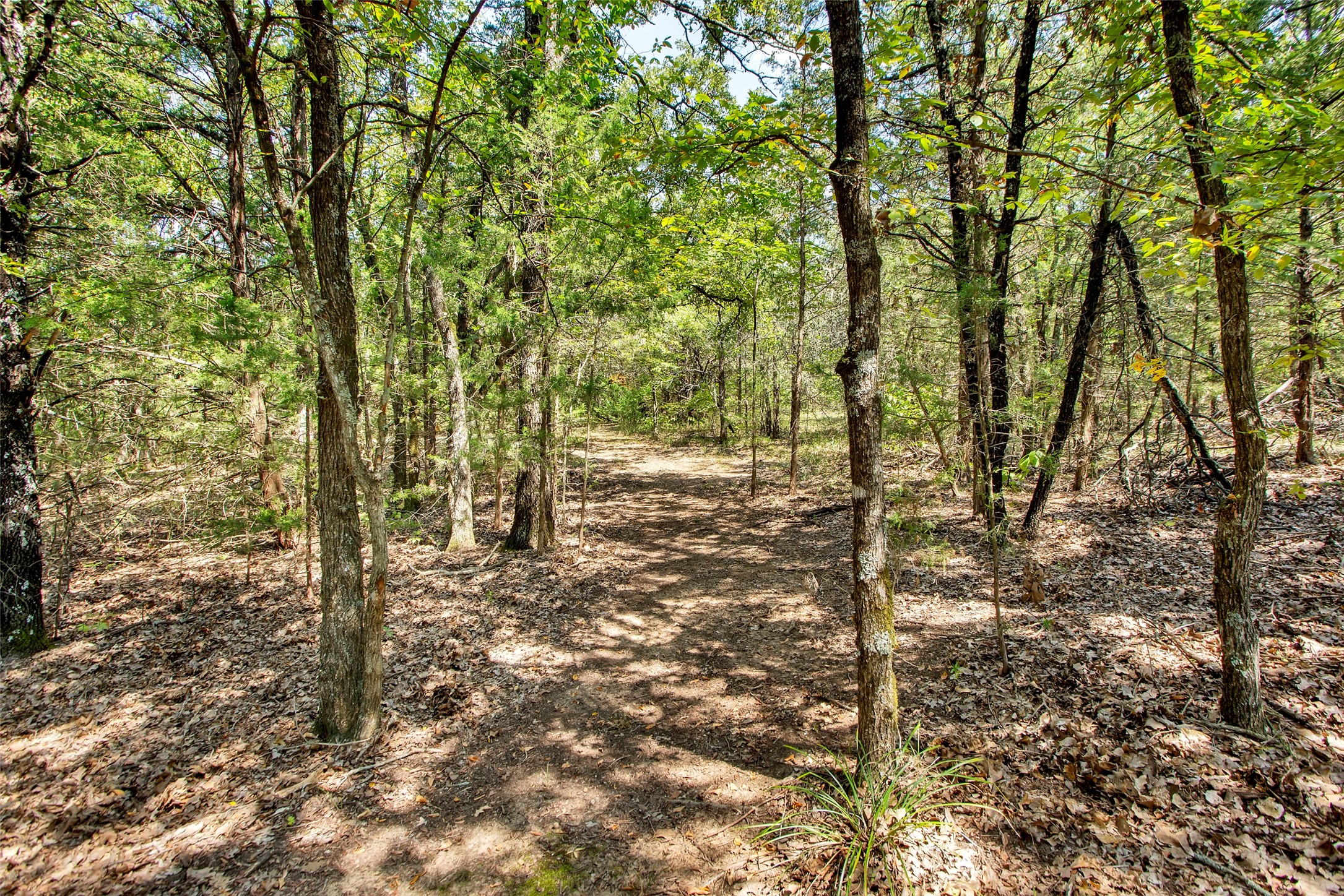 1793 Greer Road Sadler TX 76264