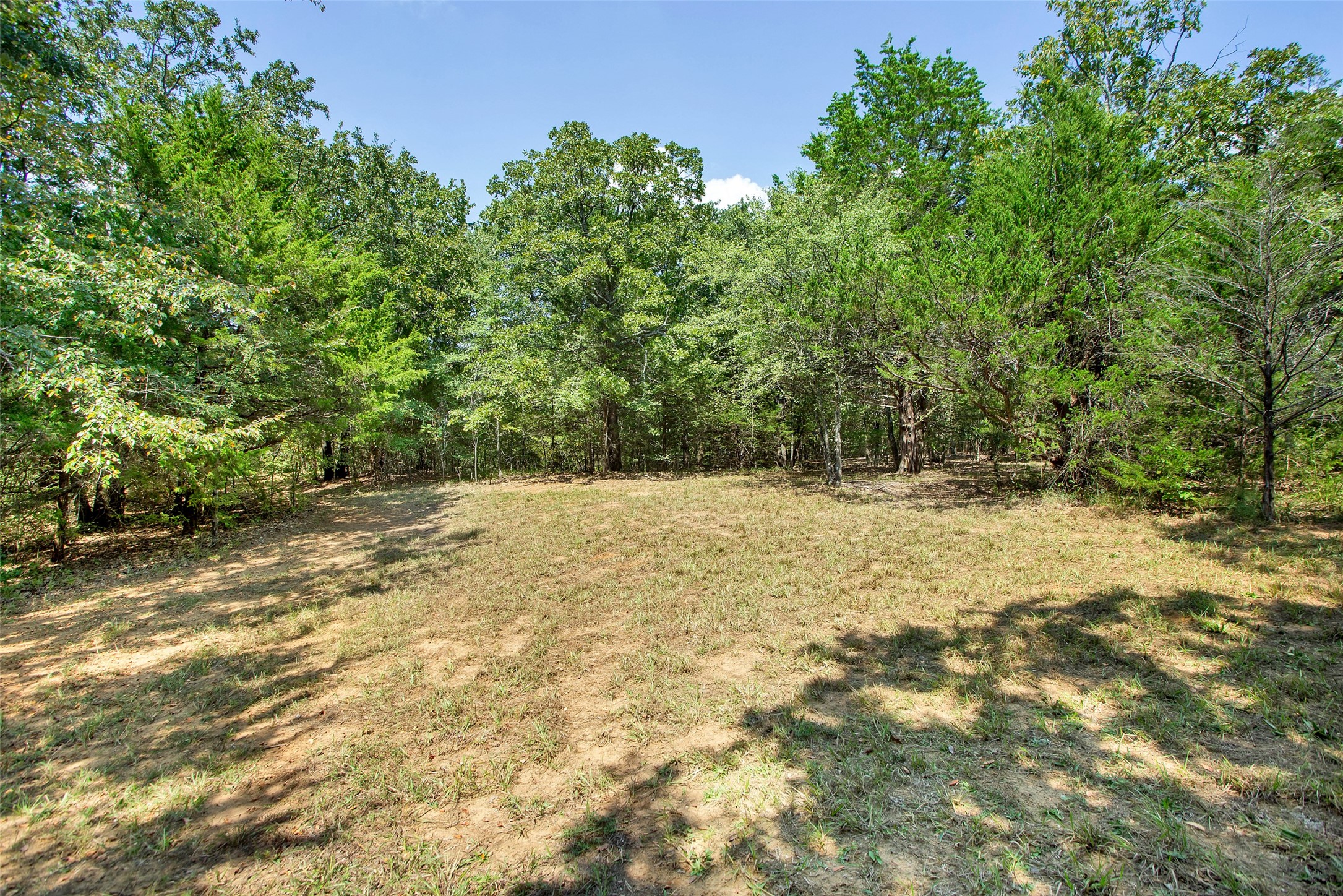 1793 Greer Road Sadler TX 76264