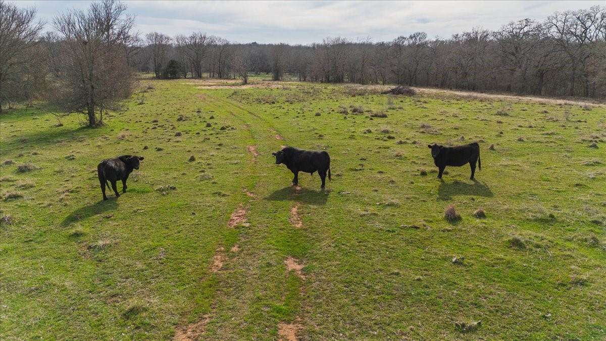 Tbd Hcr 2424 Hillsboro TX 76645