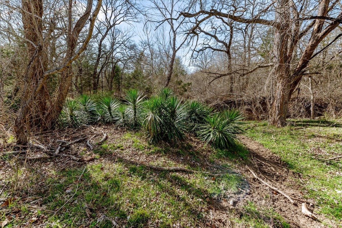Tbd Hcr 2424 Hillsboro TX 76645