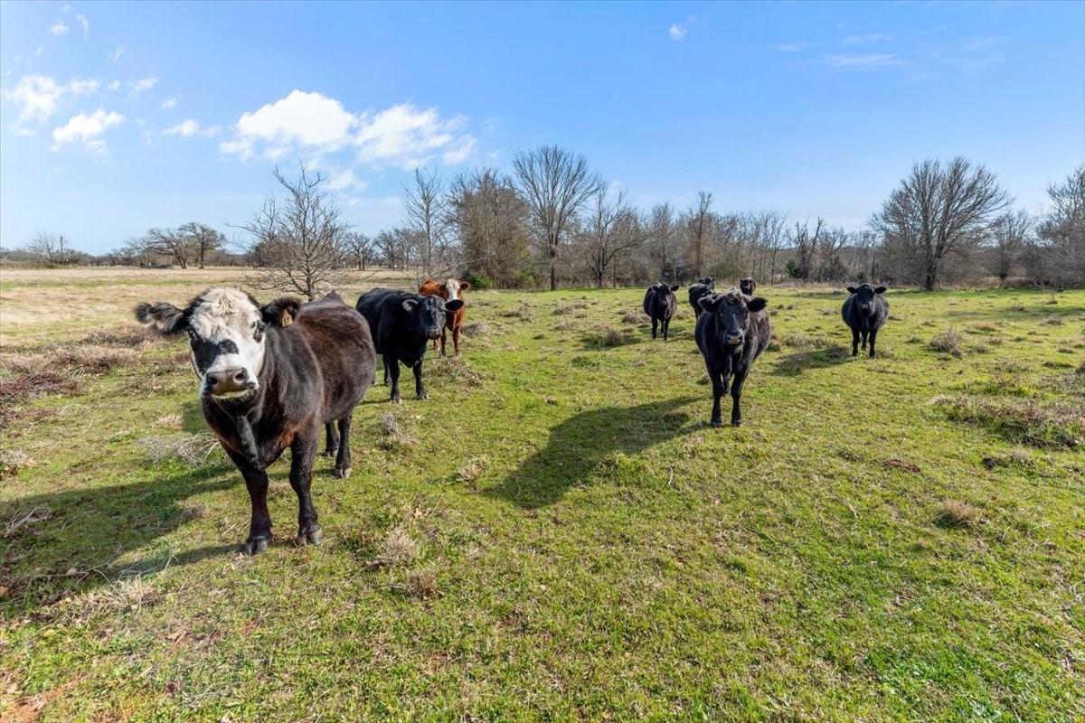 Tbd Hcr 2424 Hillsboro TX 76645