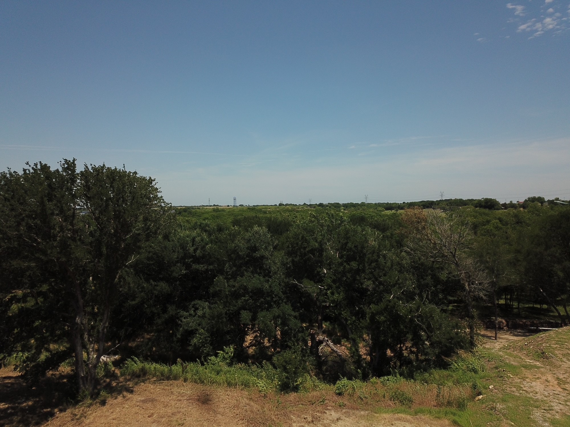 1925 Carter Lane Gunter TX 75058