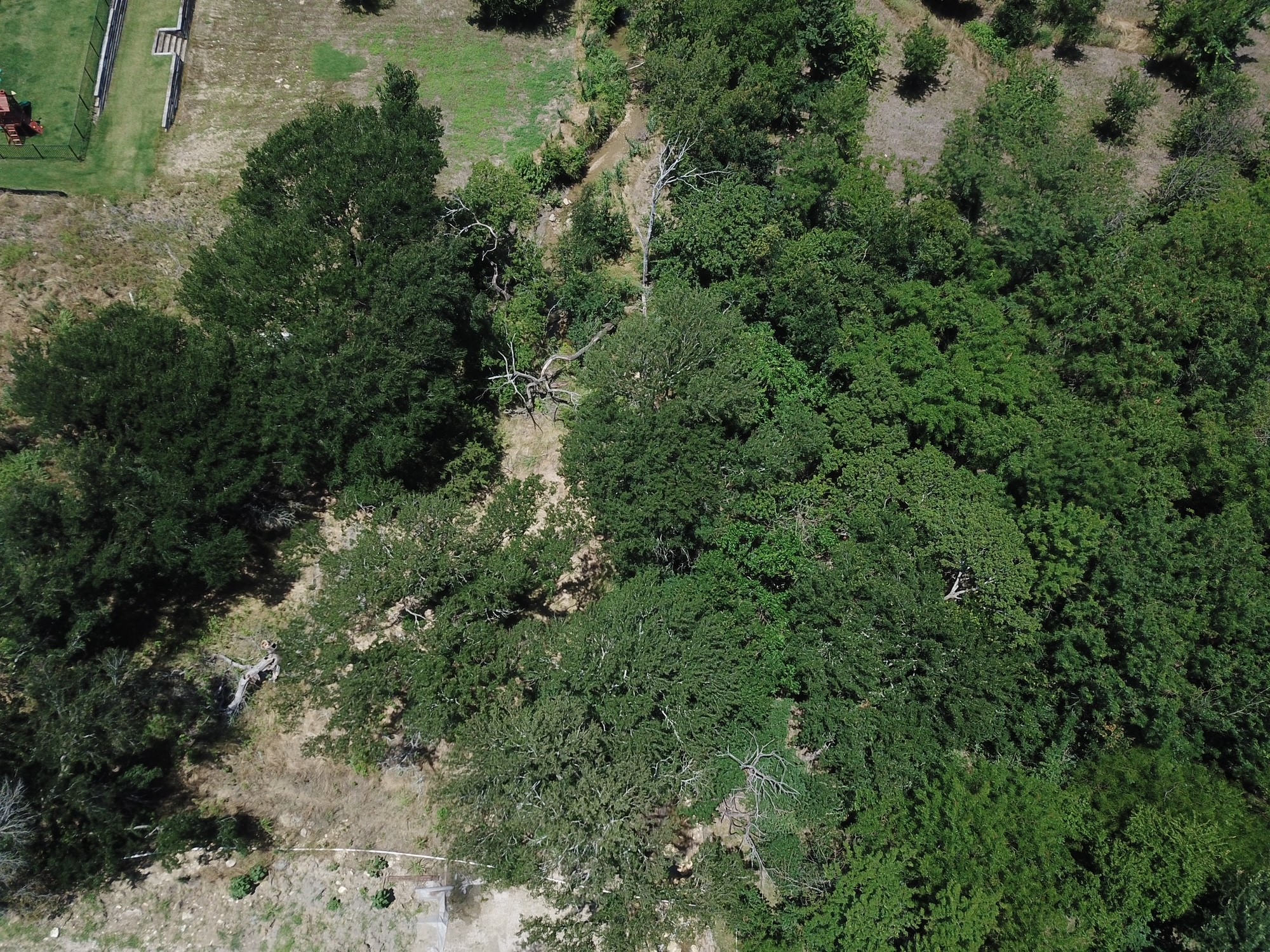 1925 Carter Lane Gunter TX 75058