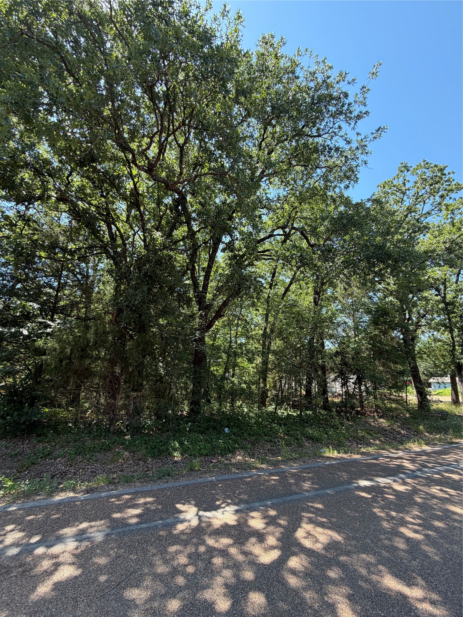 Tbd Triple N Ranch Trinidad TX 75163