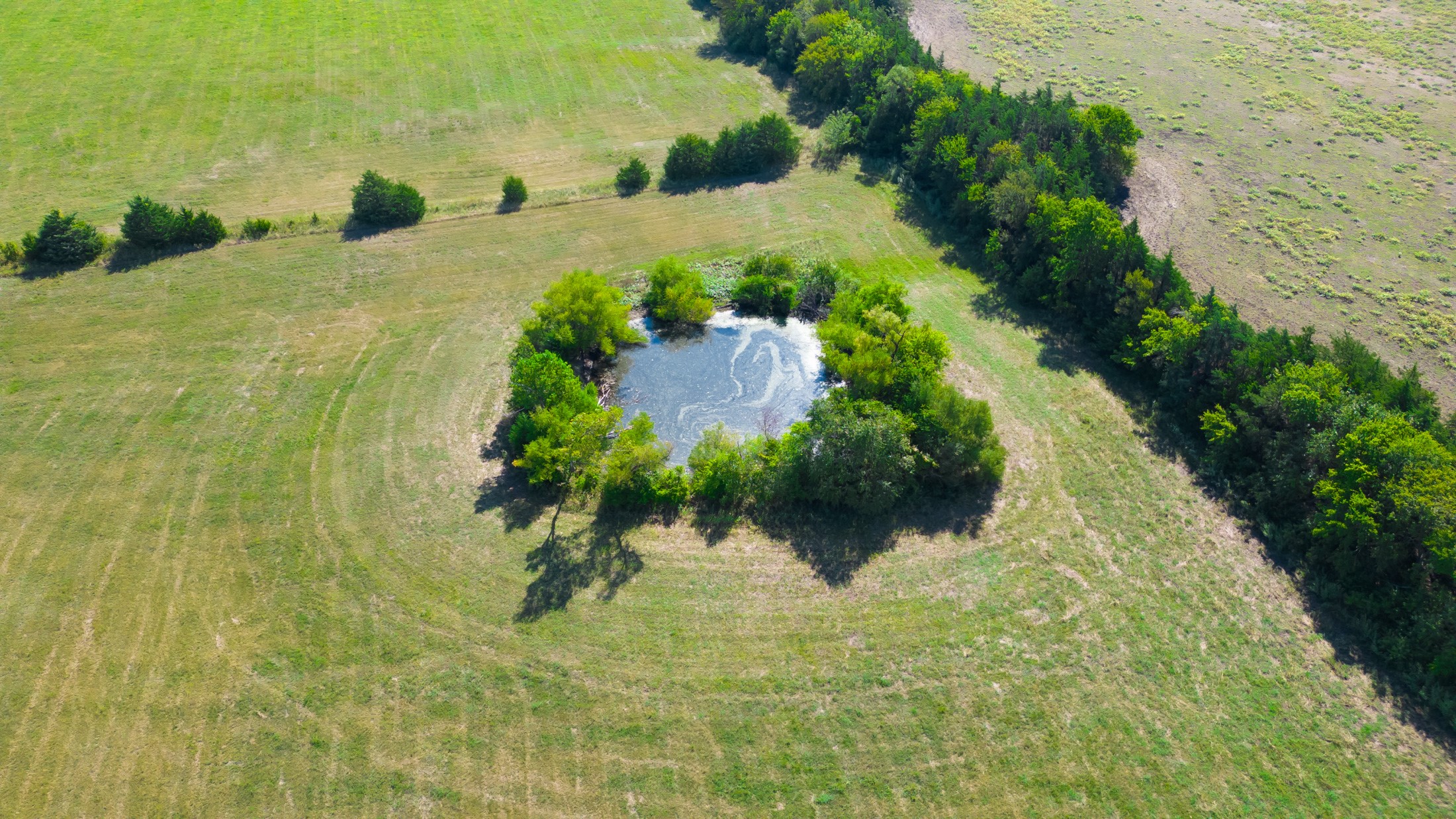 5484 N Fm 1743 Windom TX 75492
