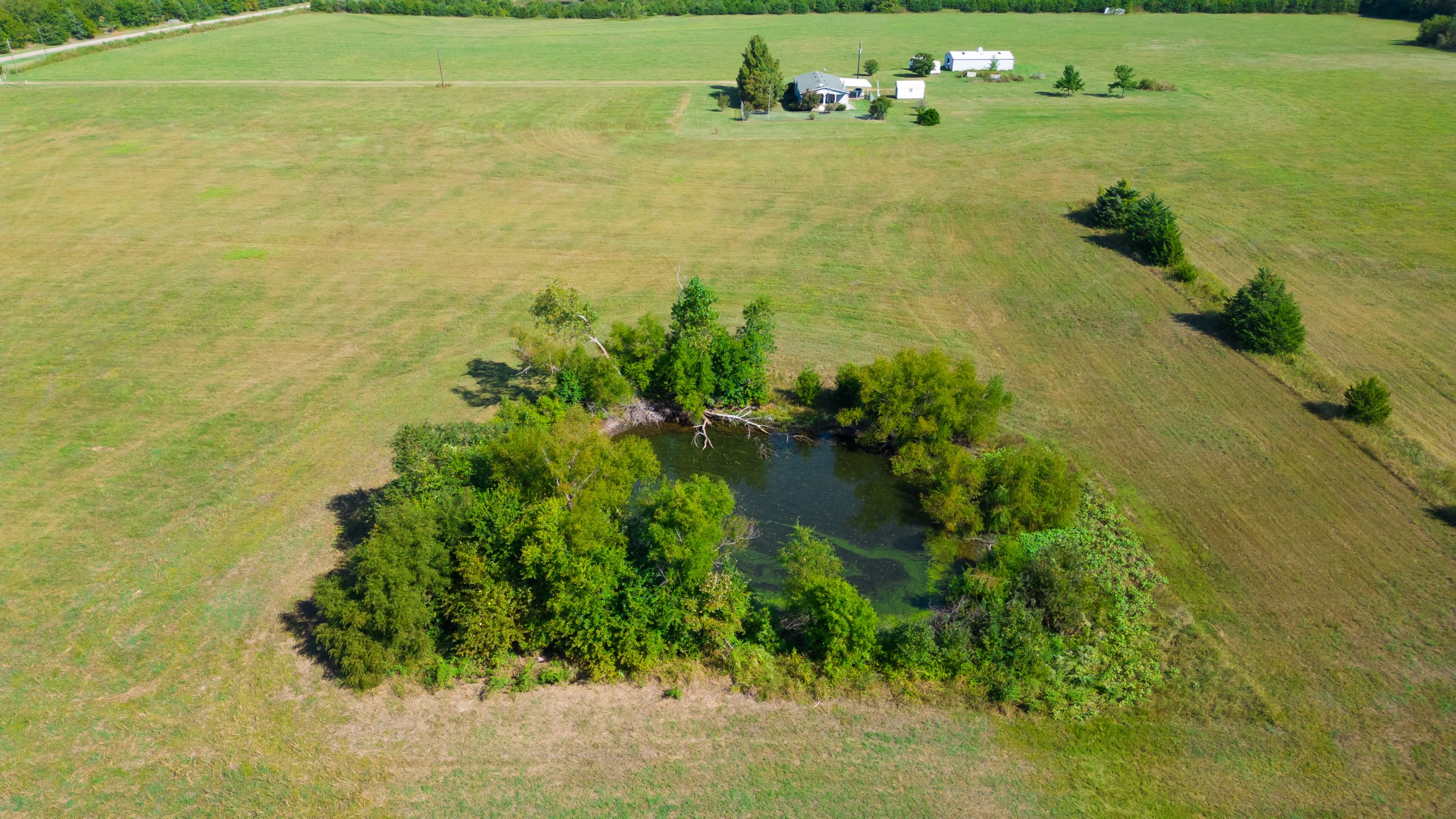 5484 N Fm 1743 Windom TX 75492