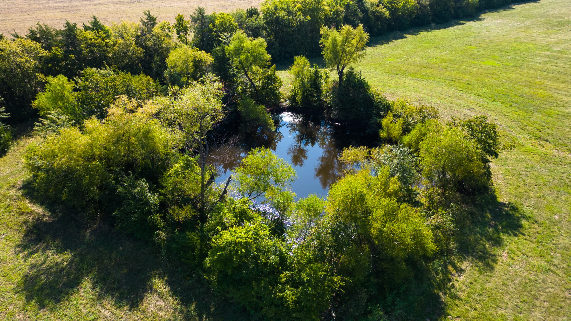 5484 N Fm 1743 Windom TX 75492